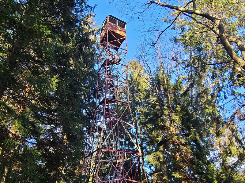 Rothrock State Forest- Little Flat Fire Tower Trail