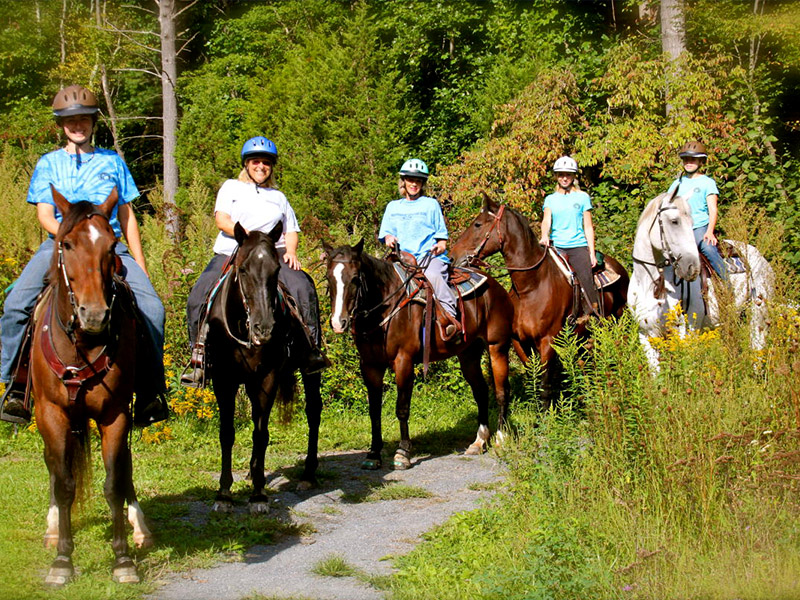 Lehigh Valley Horseback Trail Rides